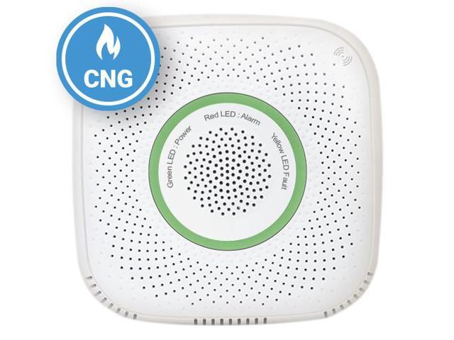 Shelly GAS (GNC)