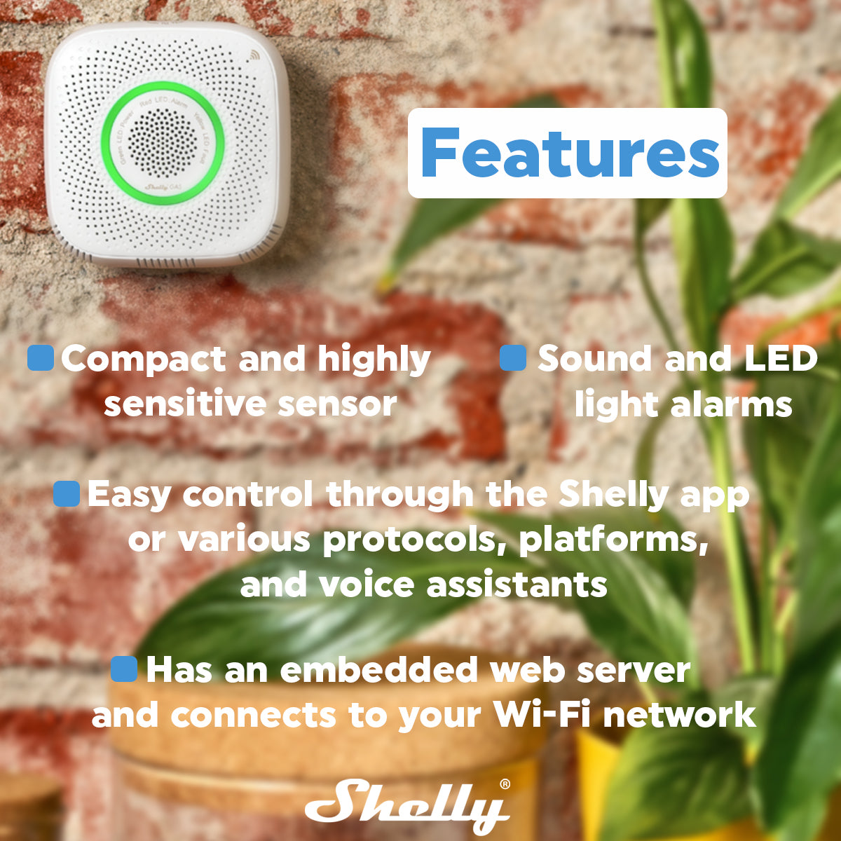 Shelly GAS (GLP)