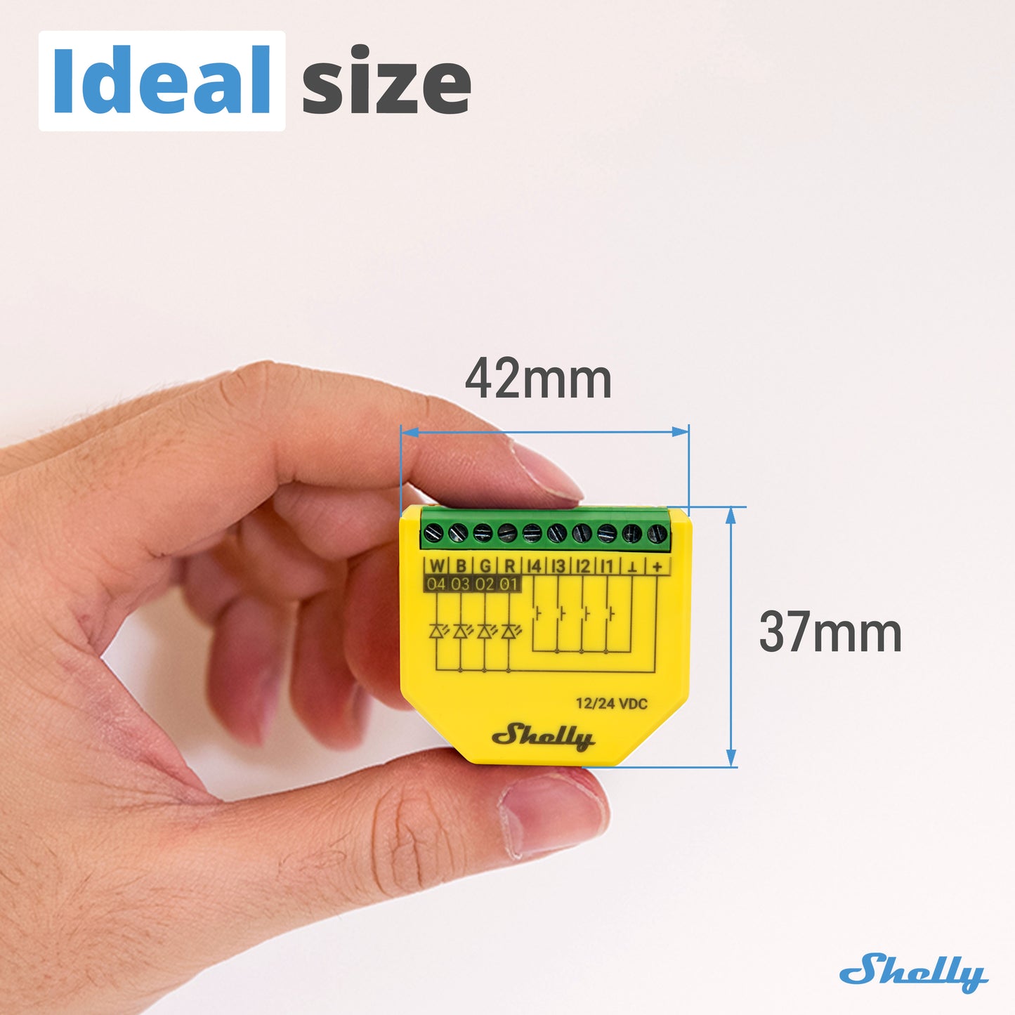 Shelly Plus RGBW PM