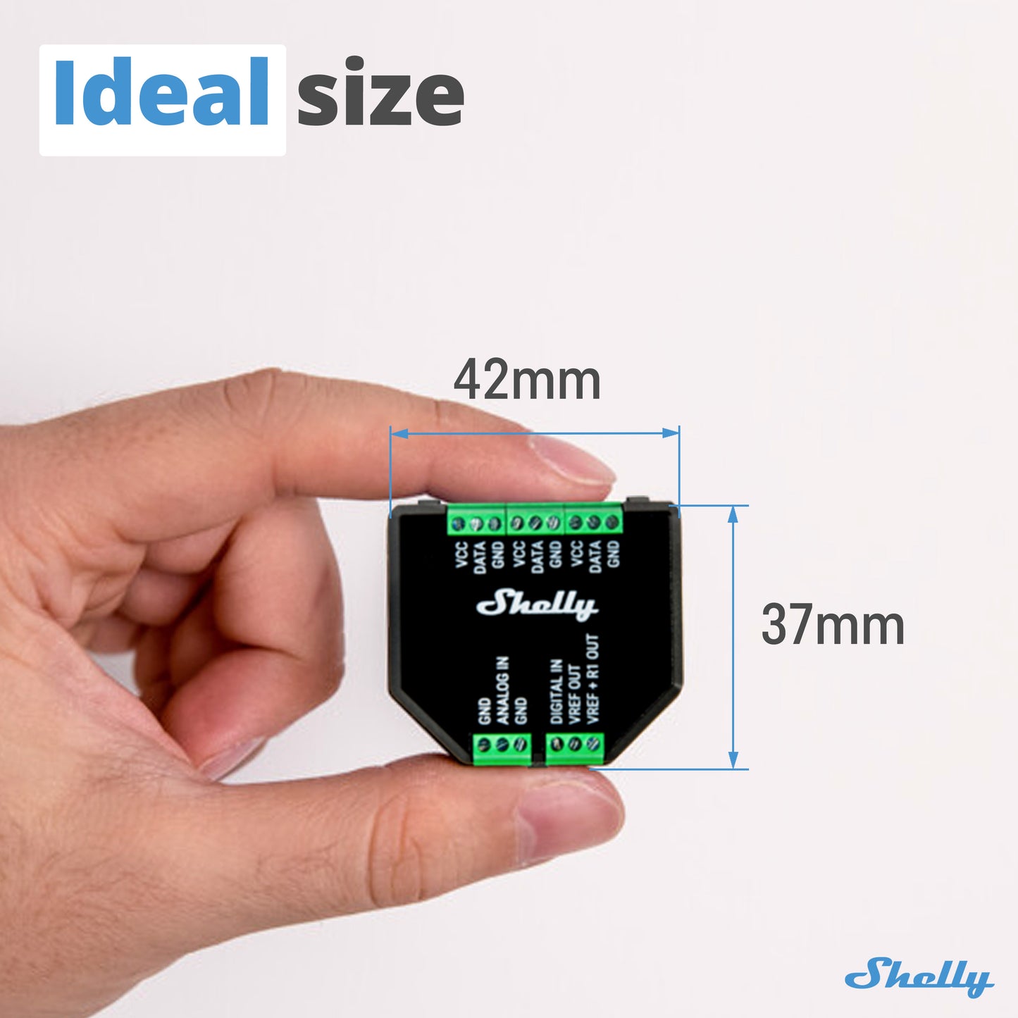 Complemento Shelly Plus