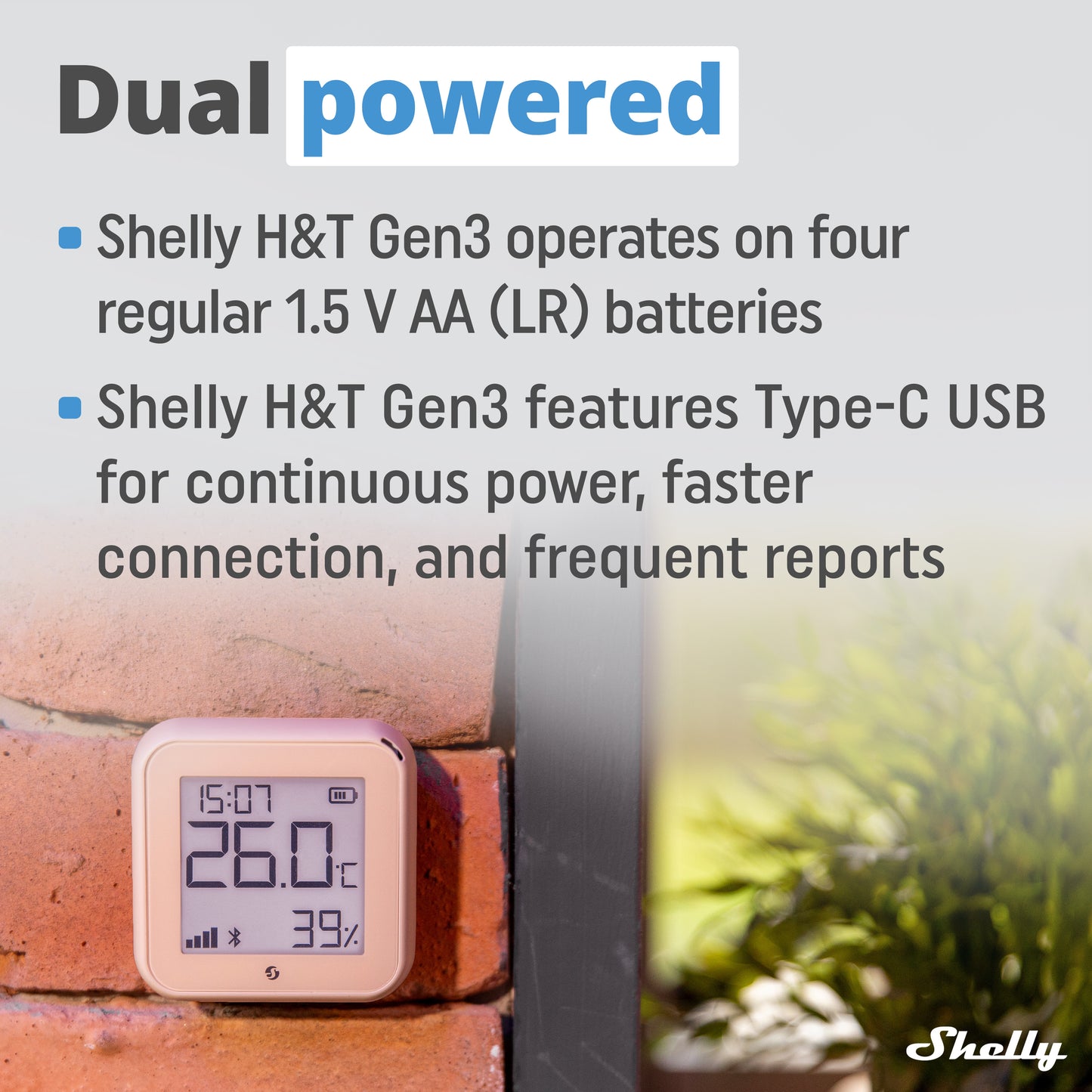 Shelly Gen 3 H&T Mocha